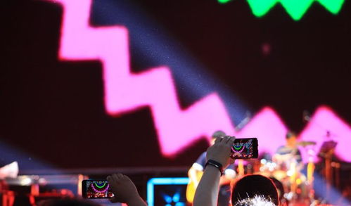 中演协经纪人委员会携手广播电视节目制作经营，助力沈阳法库音乐节圆满落幕